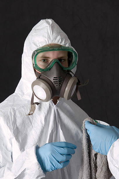 Biohazard Mold Removal in Radium Springs, NM